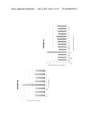 ANTIBODIES AS T CELL RECEPTOR MIMICS, METHODS OF PRODUCTION AND USES     THEREOF diagram and image