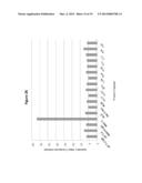 ANTIBODIES AS T CELL RECEPTOR MIMICS, METHODS OF PRODUCTION AND USES     THEREOF diagram and image