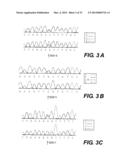 METHOD OF PROGNOSING AND DIAGNOSING HEREDITARY SPASTIC PARAPLEGIA, MUTANT     NUCLEIC ACID MOLECULES AND POLYPEPTIDES diagram and image