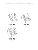 METHOD OF PROGNOSING AND DIAGNOSING HEREDITARY SPASTIC PARAPLEGIA, MUTANT     NUCLEIC ACID MOLECULES AND POLYPEPTIDES diagram and image