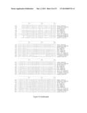 METHOD OF PROGNOSING AND DIAGNOSING HEREDITARY SPASTIC PARAPLEGIA, MUTANT     NUCLEIC ACID MOLECULES AND POLYPEPTIDES diagram and image