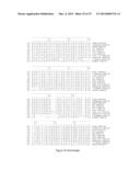 METHOD OF PROGNOSING AND DIAGNOSING HEREDITARY SPASTIC PARAPLEGIA, MUTANT     NUCLEIC ACID MOLECULES AND POLYPEPTIDES diagram and image