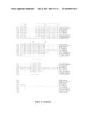 METHOD OF PROGNOSING AND DIAGNOSING HEREDITARY SPASTIC PARAPLEGIA, MUTANT     NUCLEIC ACID MOLECULES AND POLYPEPTIDES diagram and image