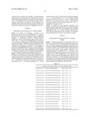 METHOD OF PROGNOSING AND DIAGNOSING HEREDITARY SPASTIC PARAPLEGIA, MUTANT     NUCLEIC ACID MOLECULES AND POLYPEPTIDES diagram and image