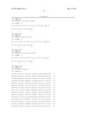 METHOD OF PROGNOSING AND DIAGNOSING HEREDITARY SPASTIC PARAPLEGIA, MUTANT     NUCLEIC ACID MOLECULES AND POLYPEPTIDES diagram and image