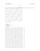 METHOD OF PROGNOSING AND DIAGNOSING HEREDITARY SPASTIC PARAPLEGIA, MUTANT     NUCLEIC ACID MOLECULES AND POLYPEPTIDES diagram and image