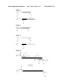 AMPLIFIED NUCLEIC ACID DETECTION METHOD AND DETECTION DEVICE diagram and image