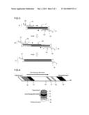 AMPLIFIED NUCLEIC ACID DETECTION METHOD AND DETECTION DEVICE diagram and image