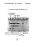 Protein Biomarkers for the Diagnosis of Prostate Cancer diagram and image