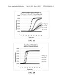 MULTIPHASE NUCLEIC ACID AMPLIFICATION diagram and image