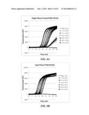 MULTIPHASE NUCLEIC ACID AMPLIFICATION diagram and image