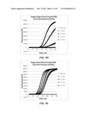 MULTIPHASE NUCLEIC ACID AMPLIFICATION diagram and image