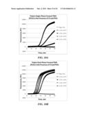 MULTIPHASE NUCLEIC ACID AMPLIFICATION diagram and image