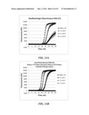 MULTIPHASE NUCLEIC ACID AMPLIFICATION diagram and image