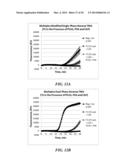 MULTIPHASE NUCLEIC ACID AMPLIFICATION diagram and image