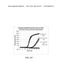 MULTIPHASE NUCLEIC ACID AMPLIFICATION diagram and image