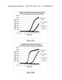 MULTIPHASE NUCLEIC ACID AMPLIFICATION diagram and image