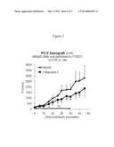 DIHYDROPYRIDOPHTHALAZINONE INHIBITORS OF POLY(ADP-RIBOSE)POLYMERASE (PARP)     FOR USE IN TREATMENT OF DISEASES ASSOCIATED WITH A PTEN DEFICIENCY diagram and image