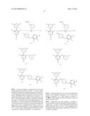 AURORA KINASE MODULATORS AND METHOD OF USE diagram and image