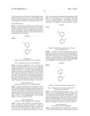 AURORA KINASE MODULATORS AND METHOD OF USE diagram and image