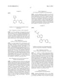 AURORA KINASE MODULATORS AND METHOD OF USE diagram and image