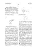 AURORA KINASE MODULATORS AND METHOD OF USE diagram and image