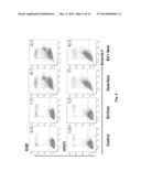 CANCER TREATMENT USING TYROSINE KINASE AND NF-kB INHIBITORS diagram and image