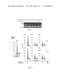 CANCER TREATMENT USING TYROSINE KINASE AND NF-kB INHIBITORS diagram and image