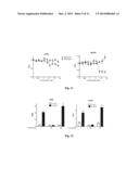 CANCER TREATMENT USING TYROSINE KINASE AND NF-kB INHIBITORS diagram and image