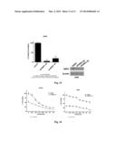 CANCER TREATMENT USING TYROSINE KINASE AND NF-kB INHIBITORS diagram and image