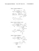 Inhibitors of Memapsin 2 Cleavage for the Treatment of Alzheimer s Disease diagram and image