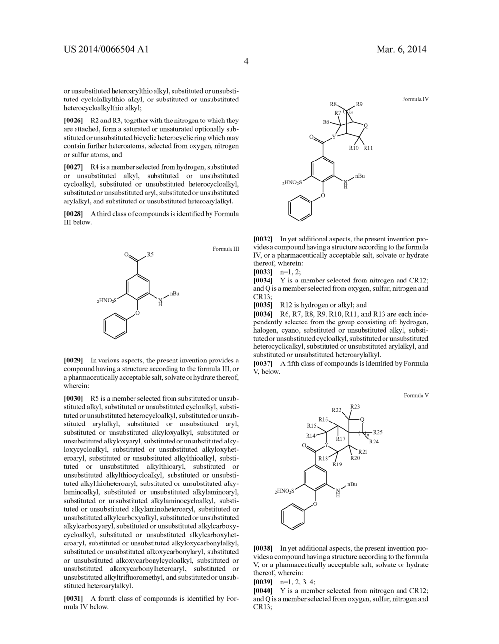 ANALOGS AND PRODRUGS OF BUMETANIDE; COMPOSITIONS AND METHODS OF USE - diagram, schematic, and image 07