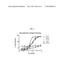 ANTI-RON ANTIBODIES diagram and image