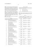 ANTI-RON ANTIBODIES diagram and image