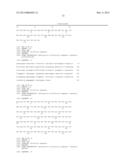 ANTI-RON ANTIBODIES diagram and image