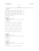 ANTI-RON ANTIBODIES diagram and image