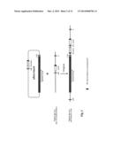 TRANSGENIC ANIMAL FOR PRODUCTION OF ANTIBODIES HAVING MINIMAL CDRS diagram and image