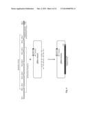 TRANSGENIC ANIMAL FOR PRODUCTION OF ANTIBODIES HAVING MINIMAL CDRS diagram and image