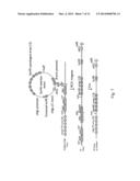 TRANSGENIC ANIMAL FOR PRODUCTION OF ANTIBODIES HAVING MINIMAL CDRS diagram and image