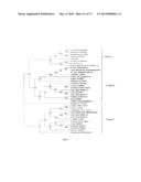 Plants Having Enhanced Yield-Related Traits and Producing Methods Thereof diagram and image