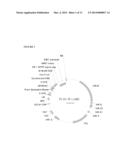 EXPRESSION OF ISOMERS OF SUCROSE INCREASES SEED WEIGHT, SEED NUMBER AND/OR     SEED SIZE diagram and image