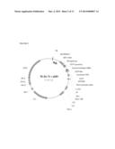 EXPRESSION OF ISOMERS OF SUCROSE INCREASES SEED WEIGHT, SEED NUMBER AND/OR     SEED SIZE diagram and image