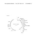 EXPRESSION OF ISOMERS OF SUCROSE INCREASES SEED WEIGHT, SEED NUMBER AND/OR     SEED SIZE diagram and image