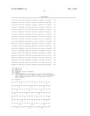 EXPRESSION OF ISOMERS OF SUCROSE INCREASES SEED WEIGHT, SEED NUMBER AND/OR     SEED SIZE diagram and image