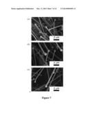 MORPHOLOGICAL AND SPATIAL CONTROL OF InP CRYSTAL GROWTH USING     CLOSED-SPACED SUBLIMATION diagram and image