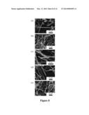 MORPHOLOGICAL AND SPATIAL CONTROL OF InP CRYSTAL GROWTH USING     CLOSED-SPACED SUBLIMATION diagram and image