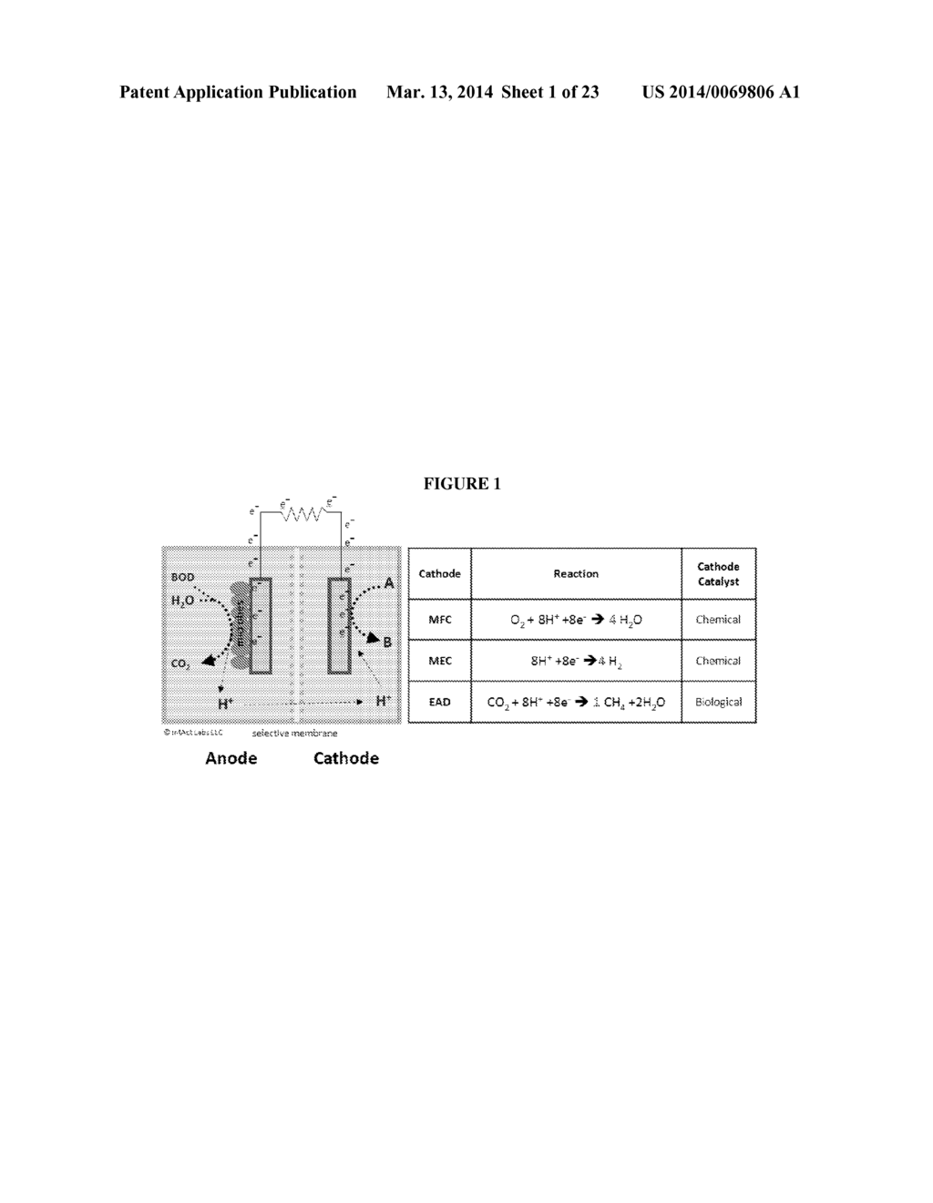 BIO-ELECTROCHEMICAL SYSTEMS - diagram, schematic, and image 02