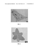 IONIC LIQUIDS AS TEMPLATING AGENTS IN FORMATION OF URANIUM-CONTAINING     NANOMATERIALS diagram and image