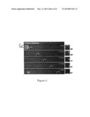 FLUID CHANNELS FOR COMPUTATIONAL IMAGING IN OPTOFLUIDIC MICROSCOPES diagram and image