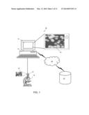 AUTOMATED FISH READER USING LEARNING MACHINES diagram and image